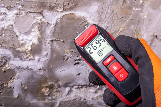 Best Mold Testing  in South Windham, CT