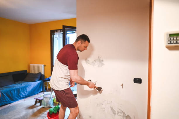 Best Toxic Mold Removal  in South Windham, CT