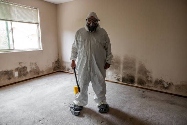 Best Mold Testing  in South Windham, CT